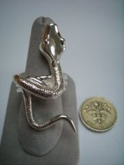 Snake Ring.jpg